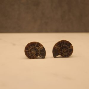 The front of a pair of ammonite plugs. The plugs are not visible from this angle, so the stones look as though they are impossibly standing by themselves. The two halves are positioned in a mirror of each other, each spiral starting towards the center of the image and curling in the direction of that the respective fossil is sitting (i.e. the left fossil is spiraling inwards from right to left)