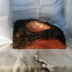 Captivating Madrone Burl Bowl